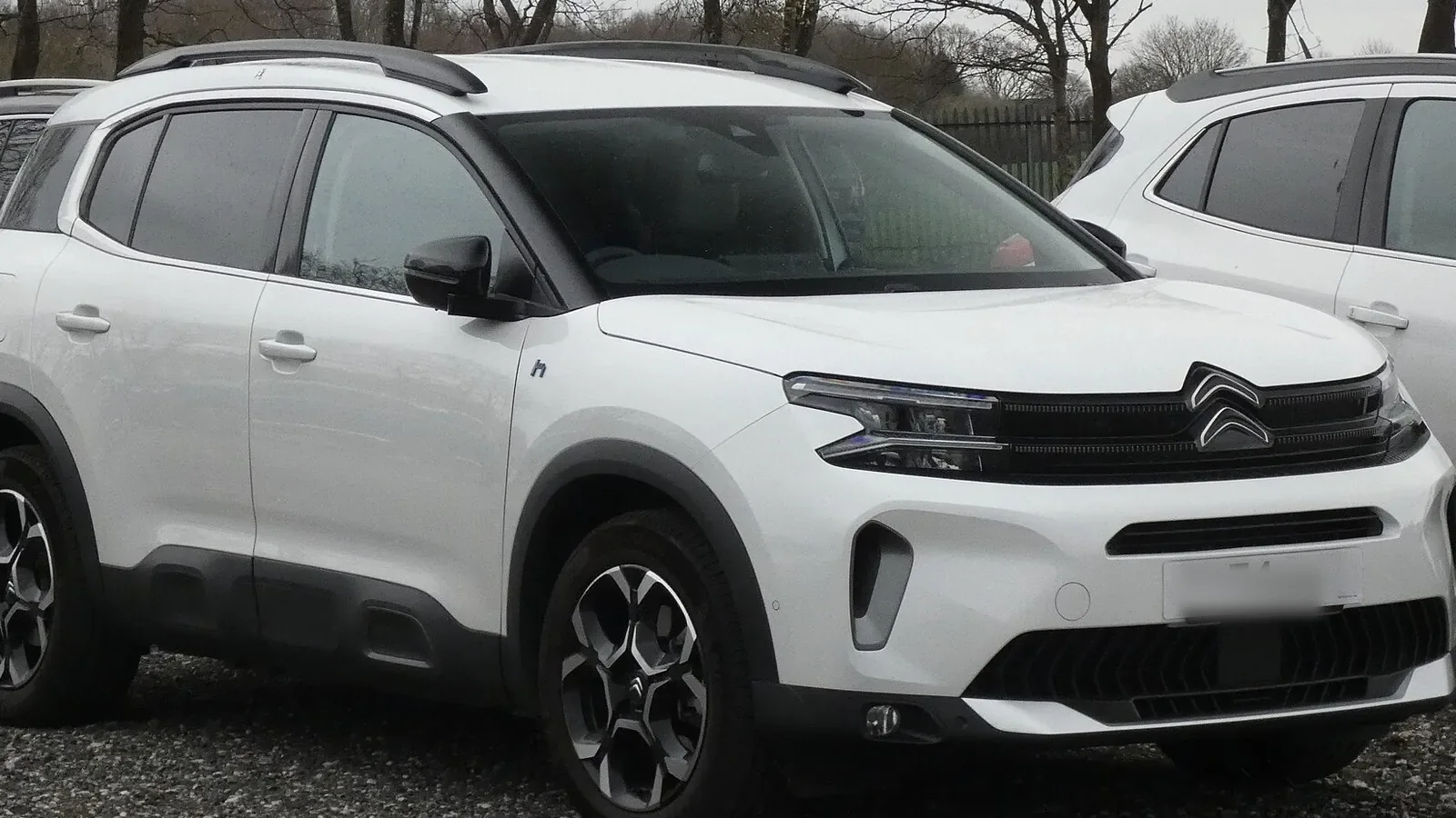 Citroën — Beispielfahrzeug der Marke